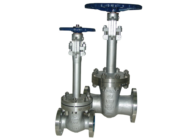 Cryogenic Gate Valve