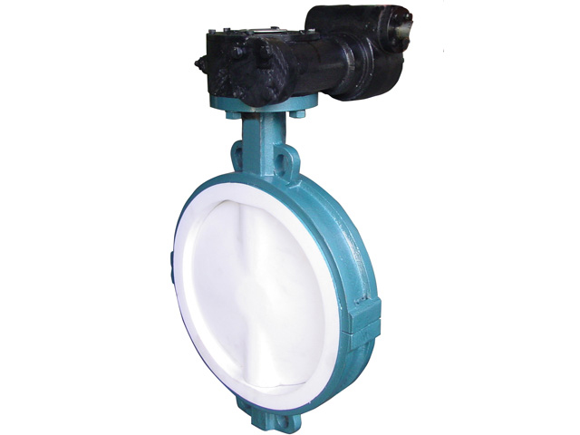 Centric Construction Butterfly Valve