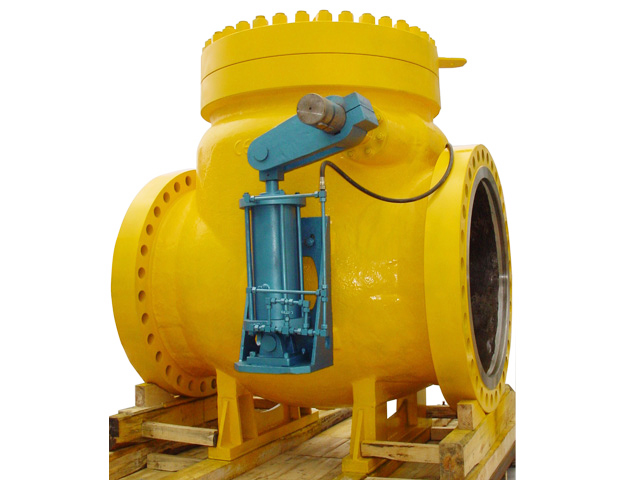 Swing Check Valve